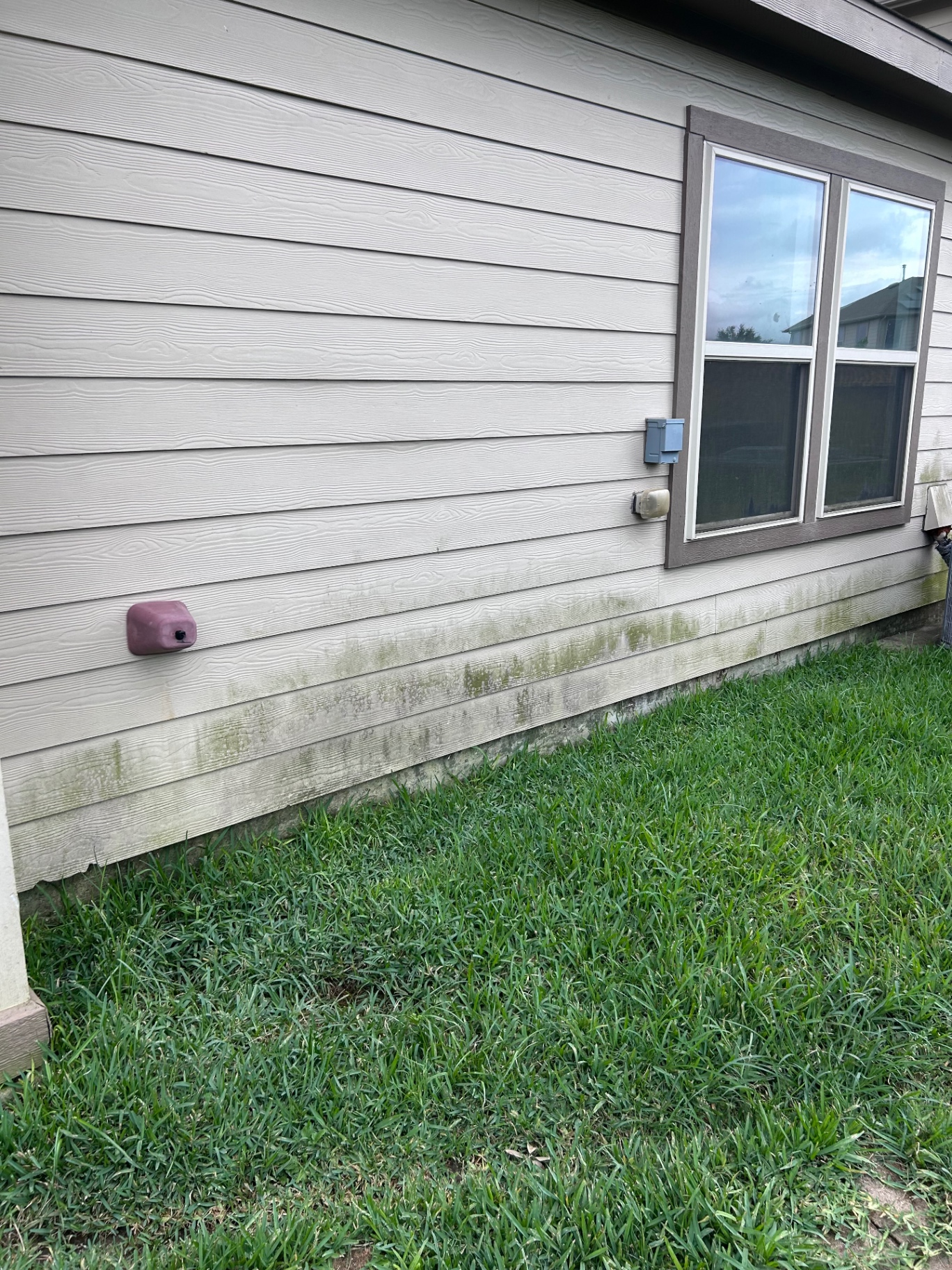 House siding with algae before soft wash house washing in Cypress TX