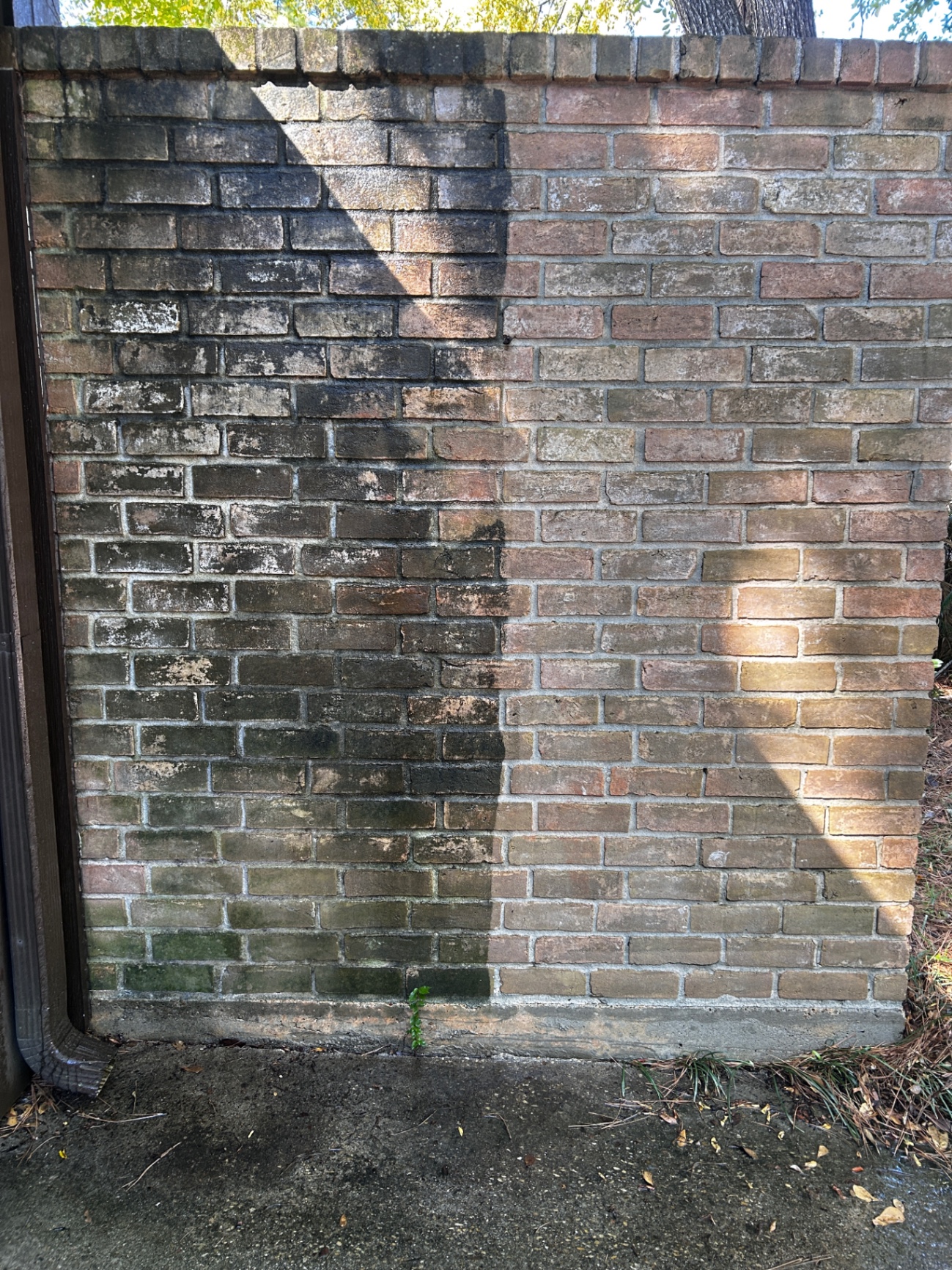 Before Brick wall clean