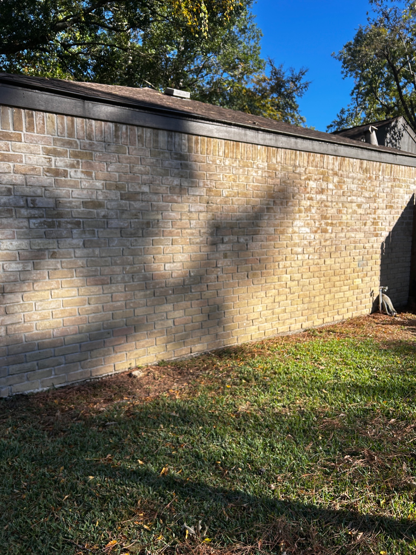 House Siding & Soft Wash service by Rose Power Washing