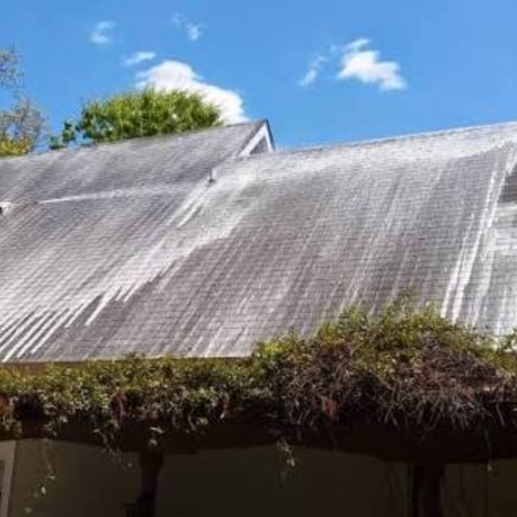 Cypress TX roof with black algae streaks before soft wash cleaning